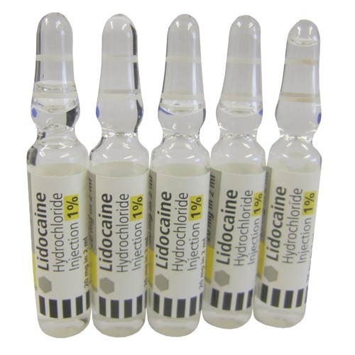[PA1039403] Lidocaine Ampoules 1% 2ml